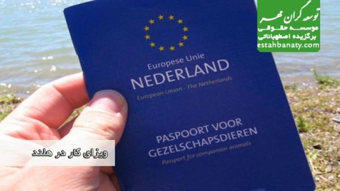 ویزای کار در هلند